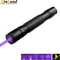 présentateur tenu dans la main de Pen Adjustable Focus Powerful Wireless d'indicateur du laser 405-650nm