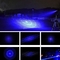 La nuit chasse l'indicateur bleu de laser de 450 nanomètre avec lumières lumineuses de recherche de différentes astuces